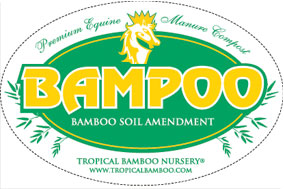 Bampoo