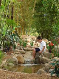 Bamboo Garden