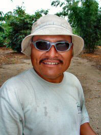 Pedro P Francisco